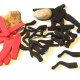 Set Saltamontes Foam precortado - Black / Red