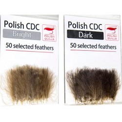 Polishquills Selected CDC 50 Plumas