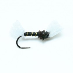 Quiro Negro - Mosca para la pesca de Ciprinidos