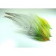 Popovics Beast Articulado en Bucktail