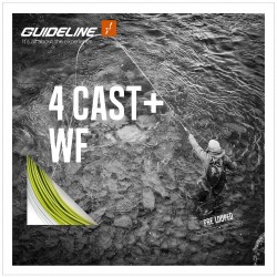 Linea Guideline 4 Cast 