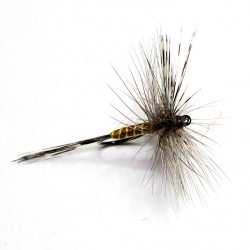 HV83 Pardon Hackle