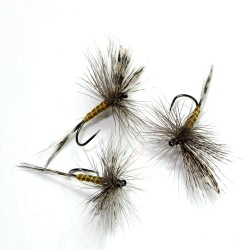 HV83 Pardon Hackle