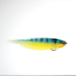 Flecha Tiger Blue - Yellow