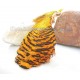 Cuello Completo de Faisan Dorado - Hareline Golden Pheasant neck