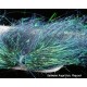 Sybai Saltwater Angel Hair