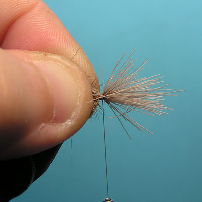 Montaje de una mosca Elk Hair Caddis