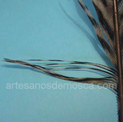 Montaje de una mosca Pheasant Tail