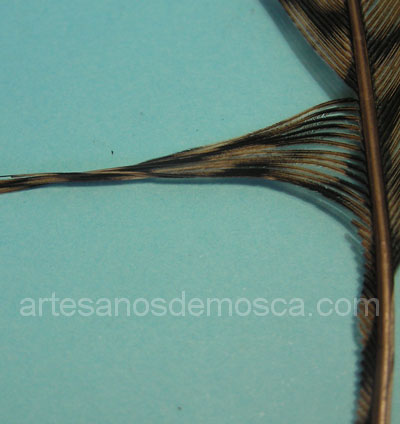 Montaje de una mosca Pheasant Tail