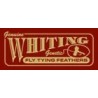 Whitting logo